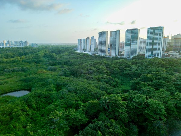 Les étapes vers une vie amoureuse épanouie et joyeuse