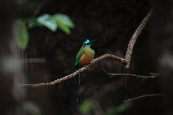 Les bienfaits des jeux sur ordinateur et leur impact sur différents aspects de la vie