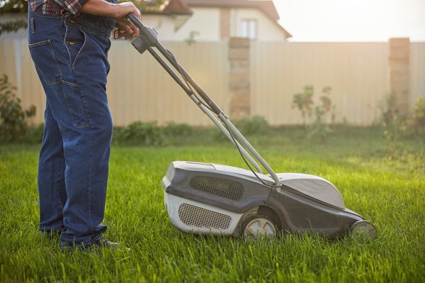 Pré-tonte et épandage : comment obtenir un joli gazon ?