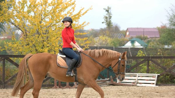 Référence des pantalons d'équitation pour femme : laquelle choisir ?